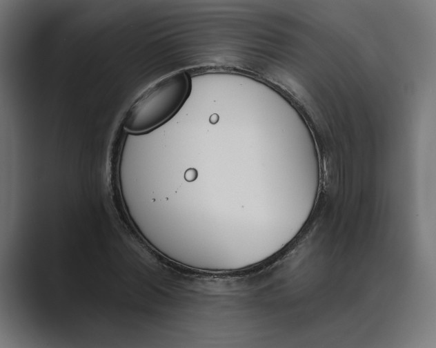 X0000089390780200706291334