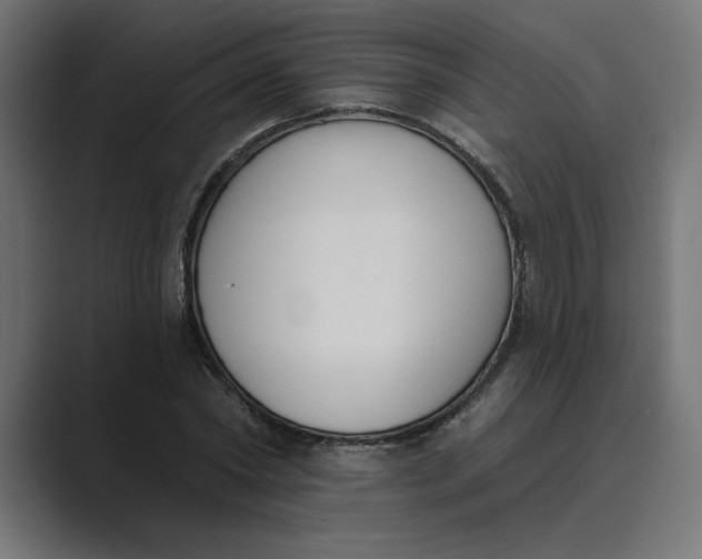 X0000089390782200706291334