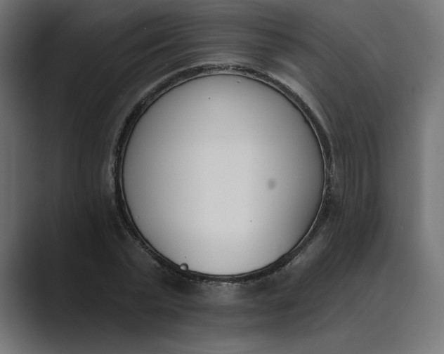 X0000089390783200706291334