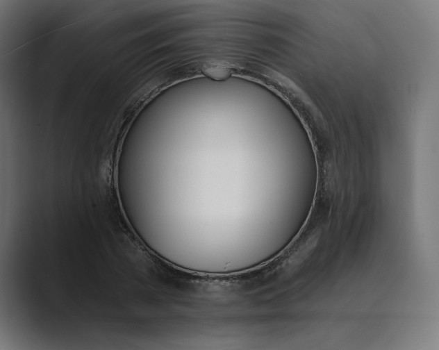 X0000089390785200706291334