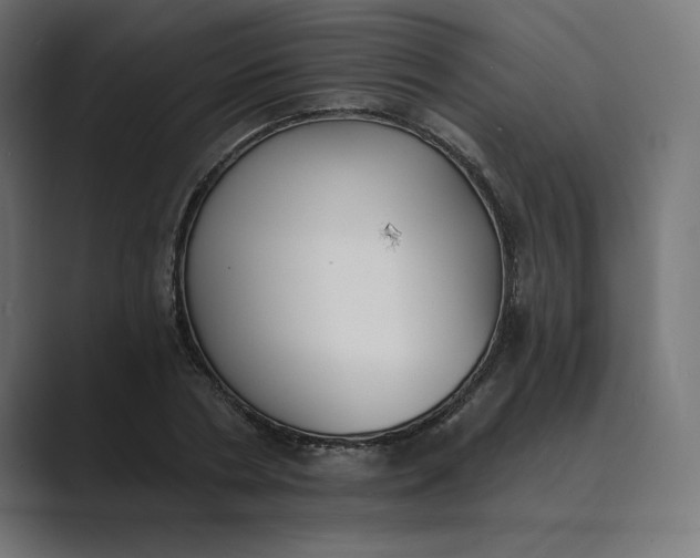X0000089390786200706291334