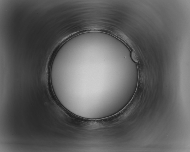 X0000089390787200706291334
