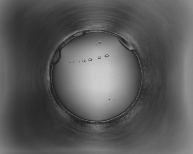 X0000089390792200706291334