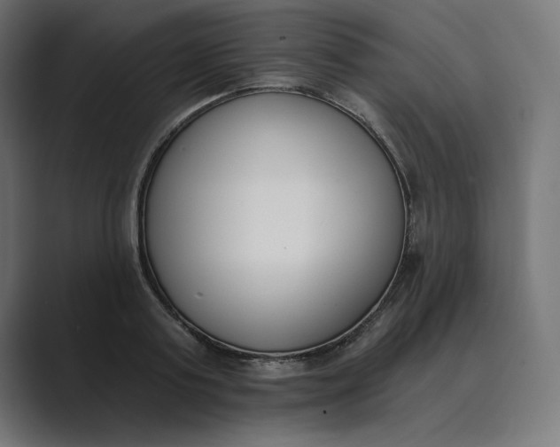 X0000089390795200706291334