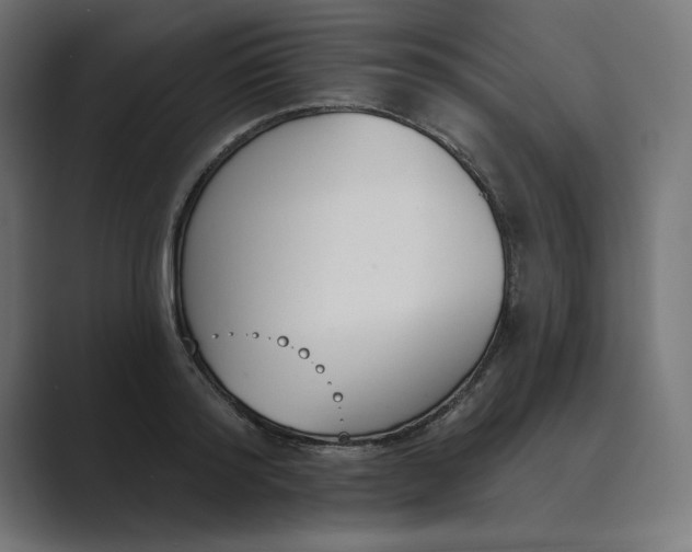 X0000089390796200706291334