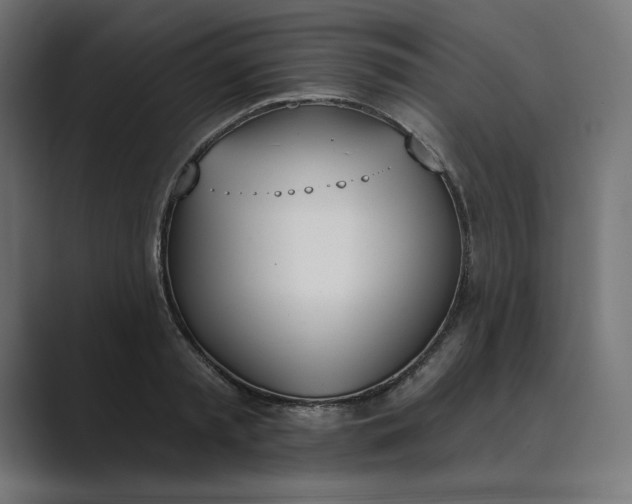 X0000089390797200706291334