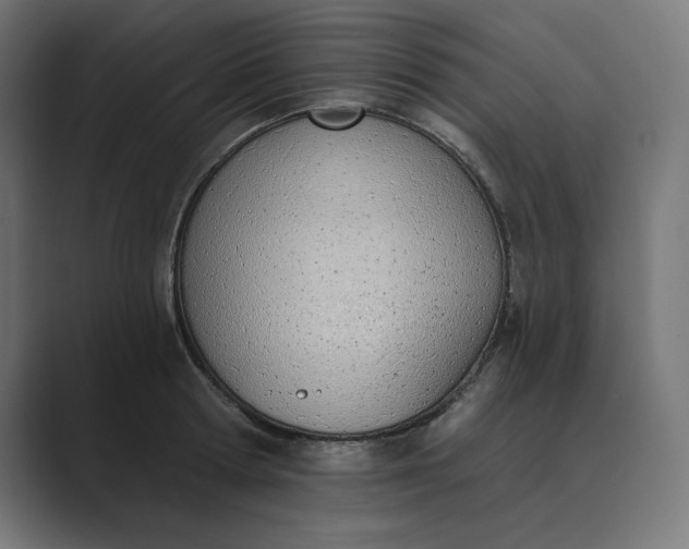 X0000089390802200706291333