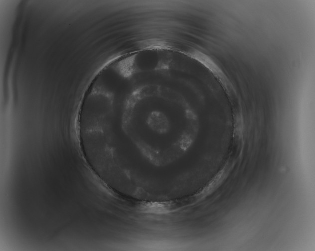 X0000089390806200706291333