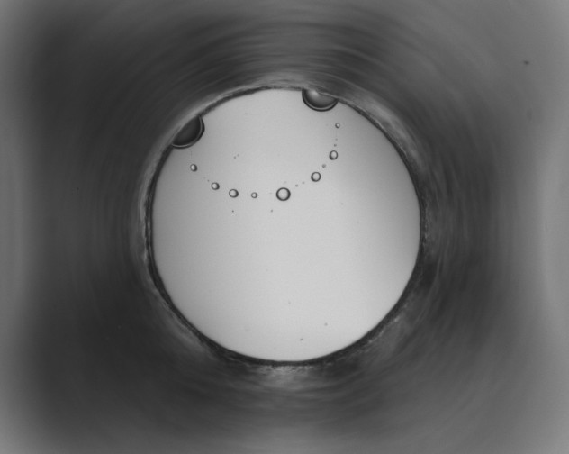 X0000089390808200706291333