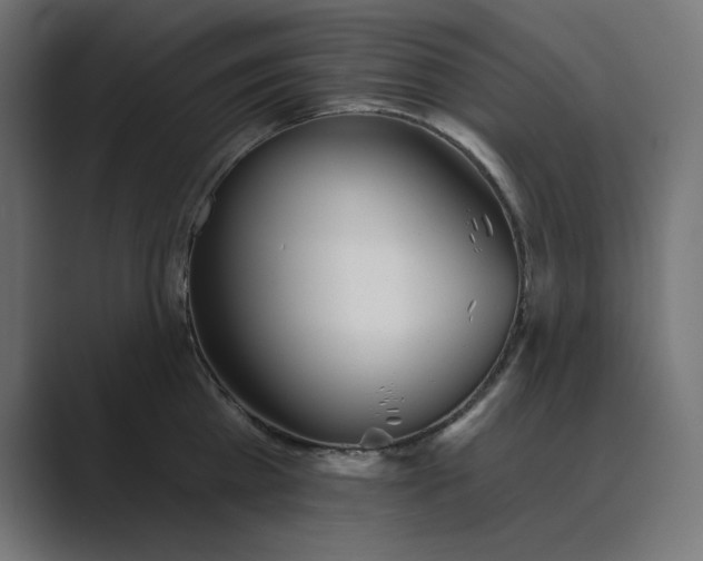 X0000089390809200706291333