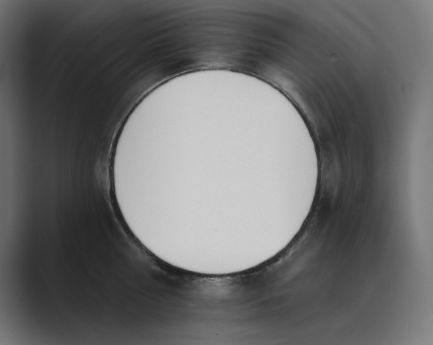 X0000089390810200706291333