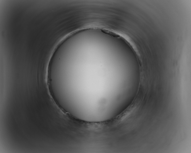 X0000089390815200706291333