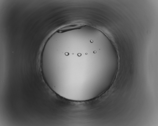 X0000089390816200706291333