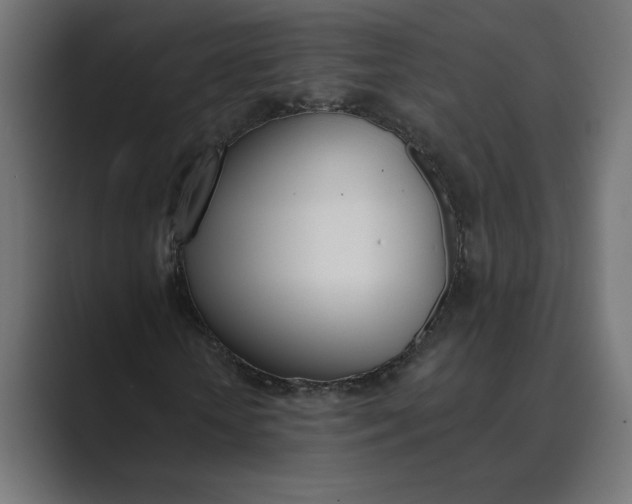 X0000089390818200706291333