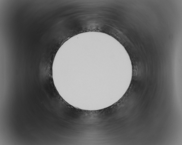 X0000089390820200706291333
