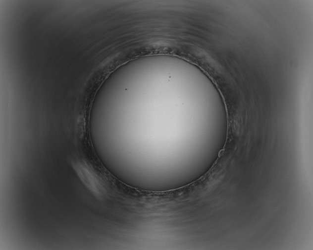 X0000089390821200706291333