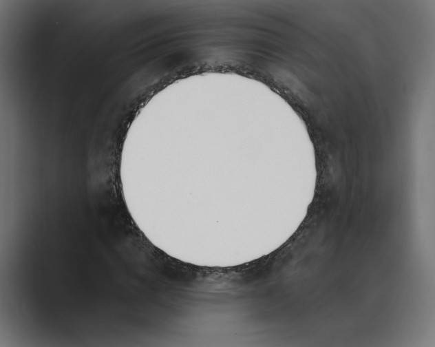 X0000089390824200706291333