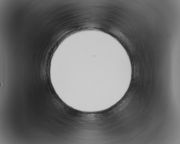 X0000089390828200706291333