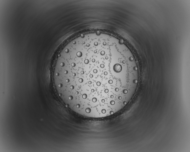 X0000089390829200706291333