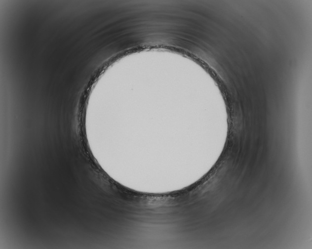 X0000089390832200706291333