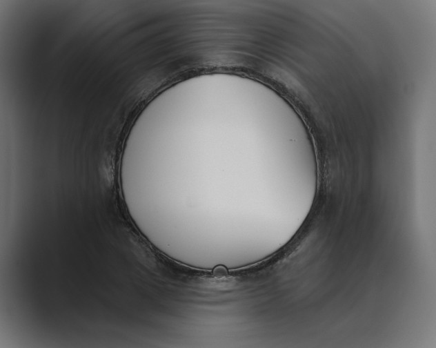 X0000089390833200706291333