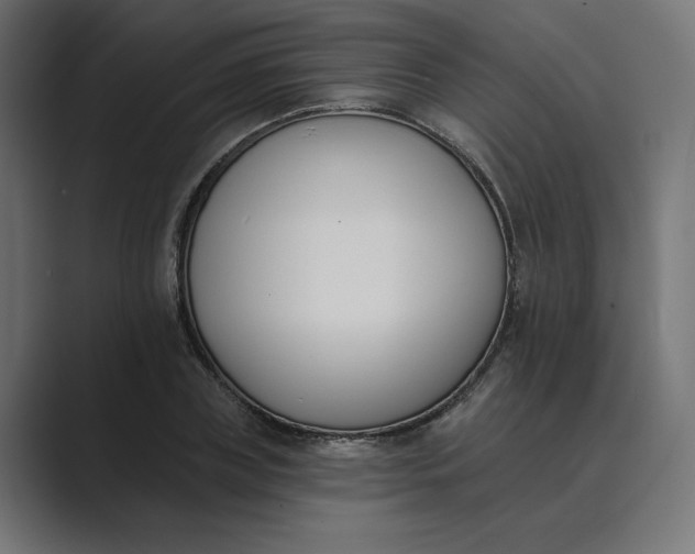 X0000089390835200706291333
