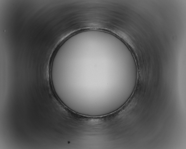 X0000089390839200706291333