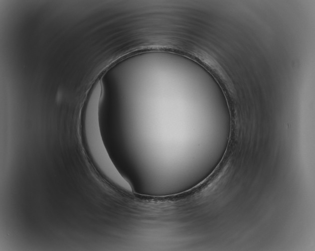 X0000089390842200706291333