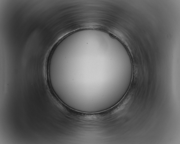 X0000089390843200706291333
