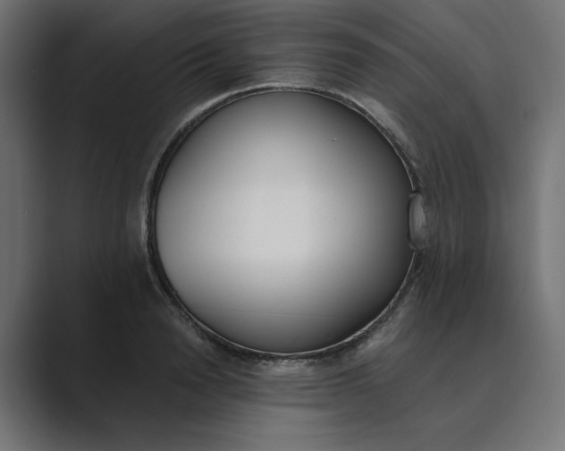 X0000089390846200706291333