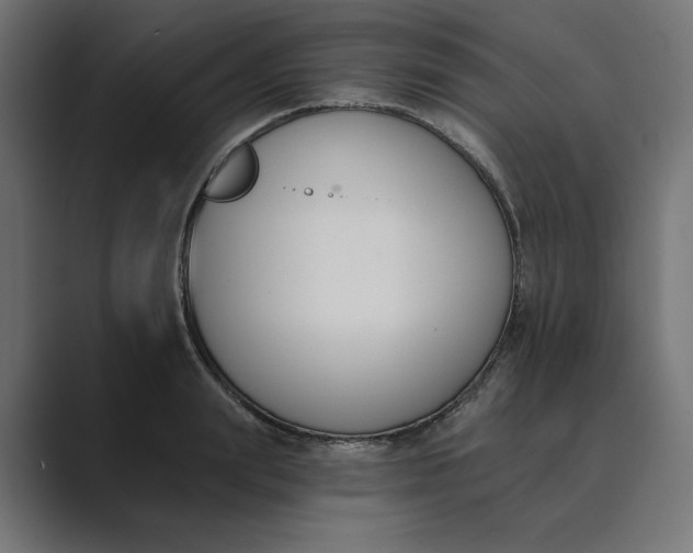 X0000089390847200706291333