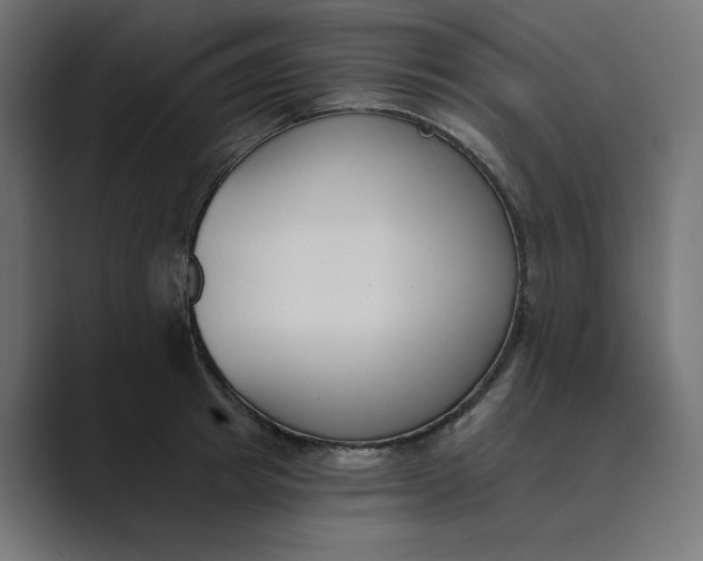 X0000089390849200706291333