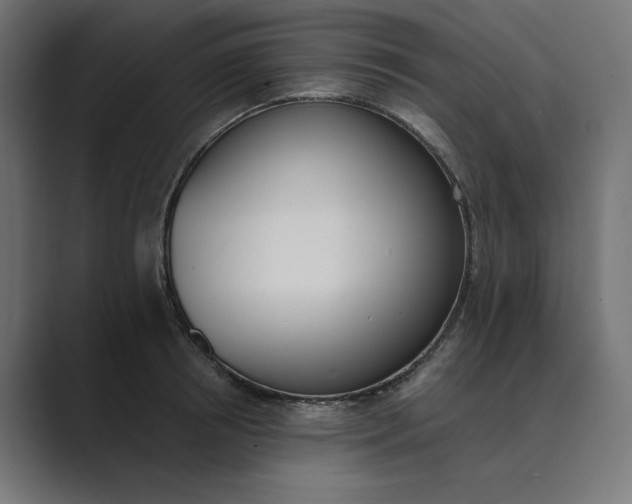 X0000089390850200706291333