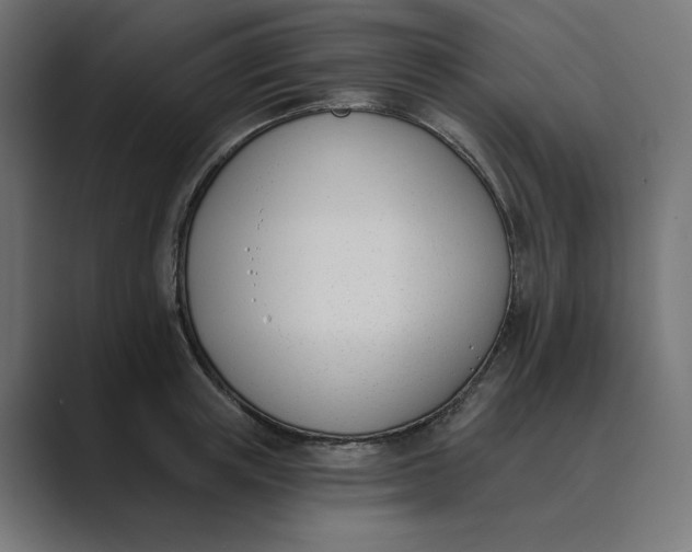 X0000089390851200706291333