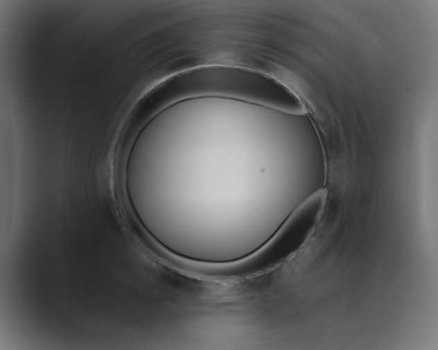 X0000089390854200706291333
