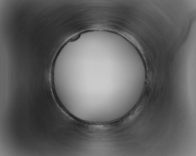 X0000089390855200706291333