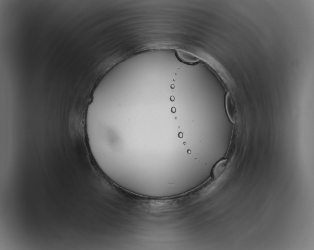 X0000089390857200706291333