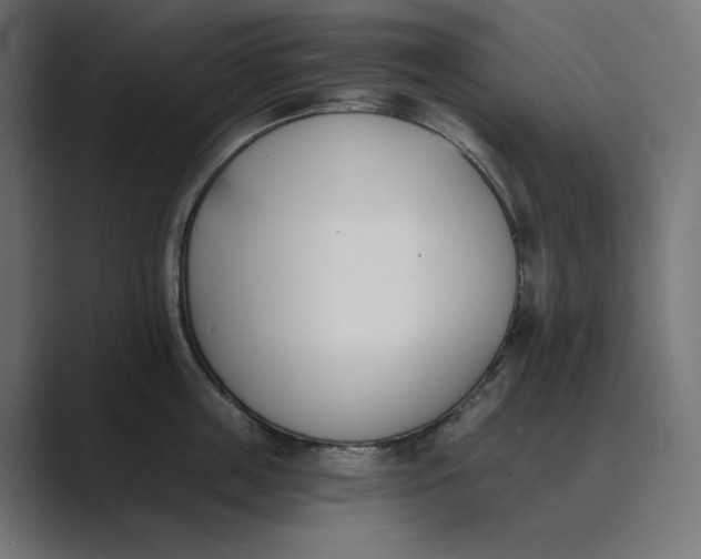 X0000089390859200706291333