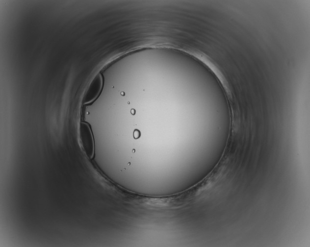 X0000089390861200706291333
