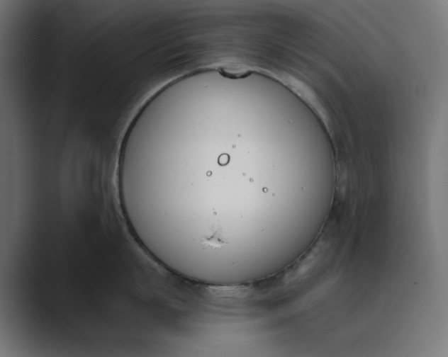 X0000089390863200706291333