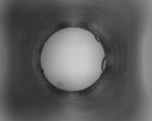X0000089390865200706291333