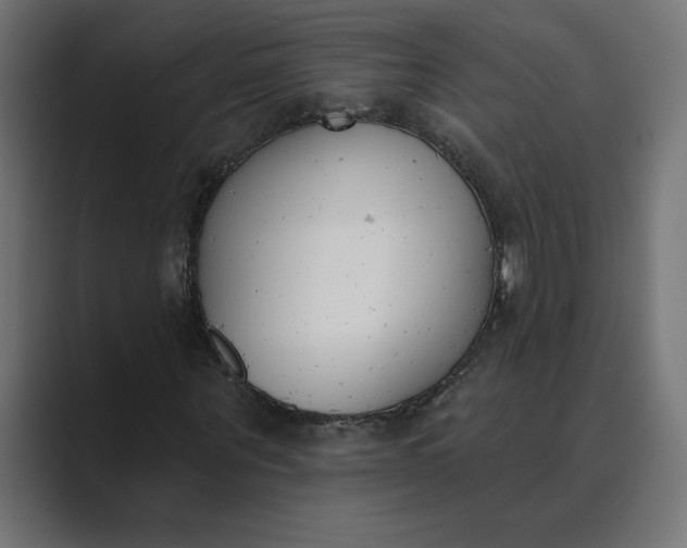 X0000089390867200706291333