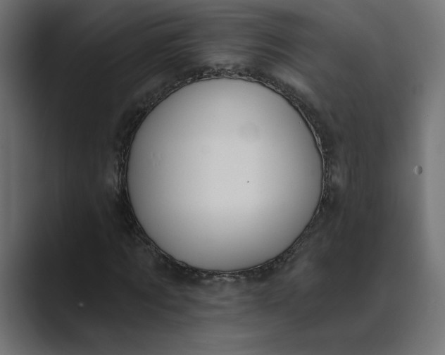 X0000089390869200706291333