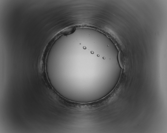 X0000089390876200706291333