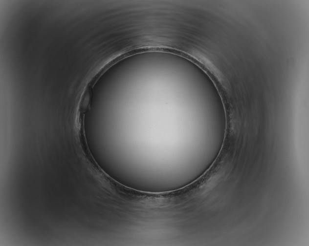 X0000089390885200706291333