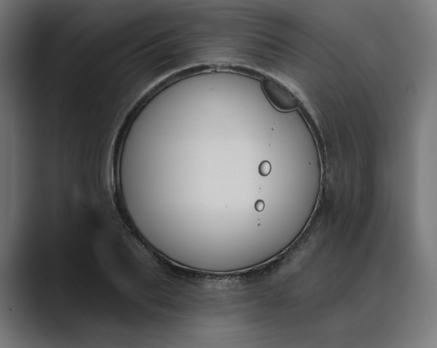 X0000089390887200706291332