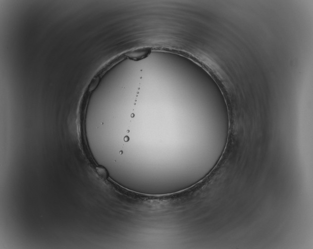 X0000089390888200706291332