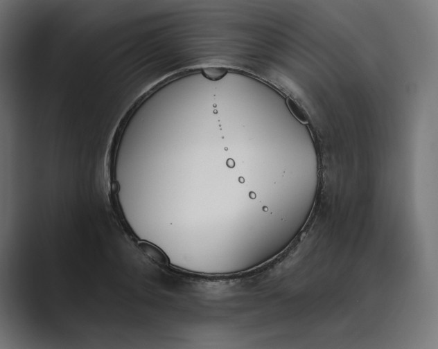 X0000089390892200706291332