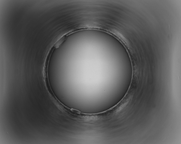 X0000089390893200706291332