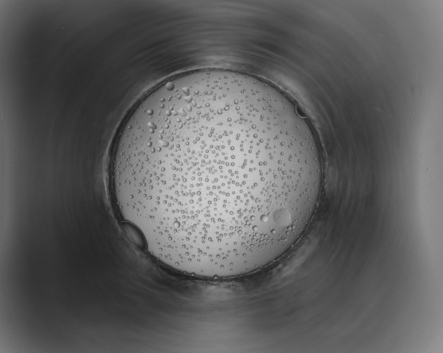 X0000089390899200706291332